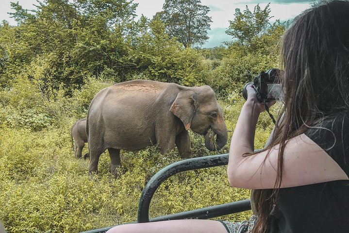 Half Day Udawalawe Safari (Entrance + Lunch) - Photo 1 of 10